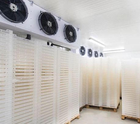 The Importance of Temperature Control in Industrial Cold Rooms: Ensuring Product Quality and Safety
